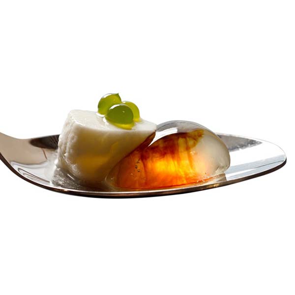 Moleculair Gastronomie Chef Kit - Kit voor moleculair koken