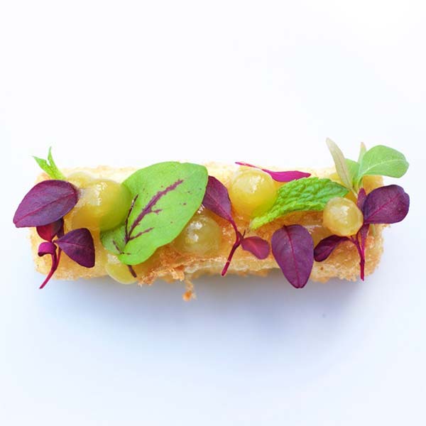 Molecular Gastronomy Starters Kit Plus (4 x ingredients + scale)