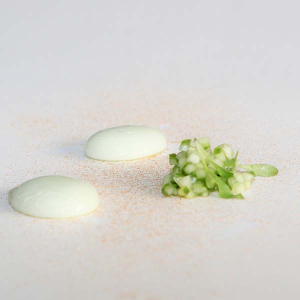 Soja Proteïne Eiwit Isolaat Poeder