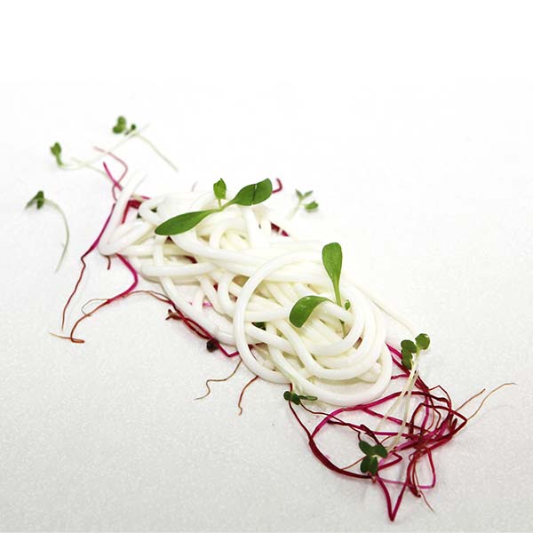 Moleculaire Spaghetti Kaviaar Kit