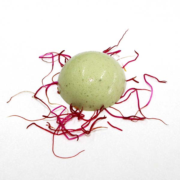 Wijnsteen zuur – Cream of Tartar